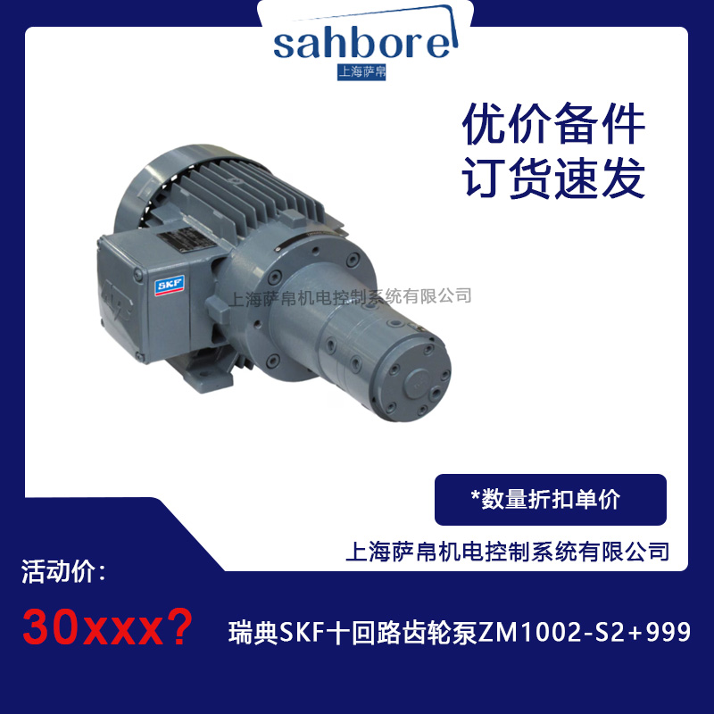 瑞典SKF  ZM1002-S2+999十回路齒輪泵