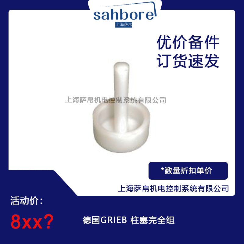 德國(guó)GRIEB 柱塞完全組