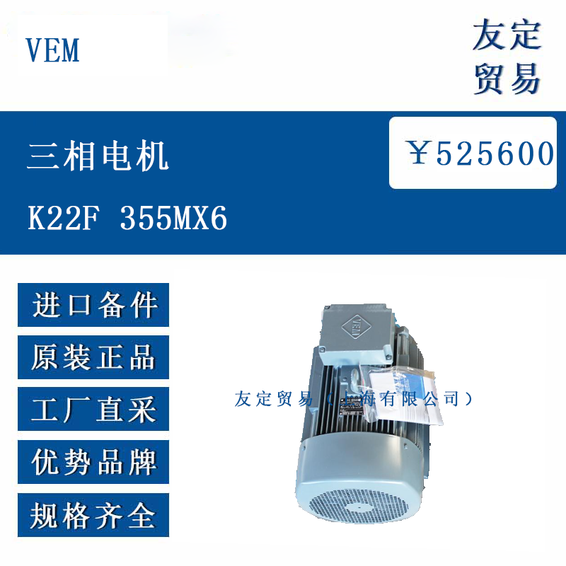 VEM K22F355MX6 三相電機(jī)